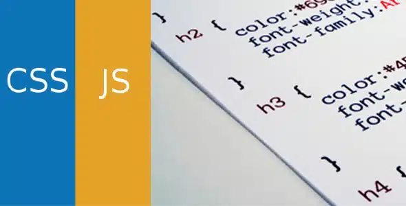 (v4.37) Simple Custom CSS and JS PRO Nulled