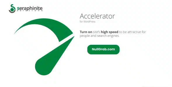 Seraphinite Accelerator v2.22.8 Nulled