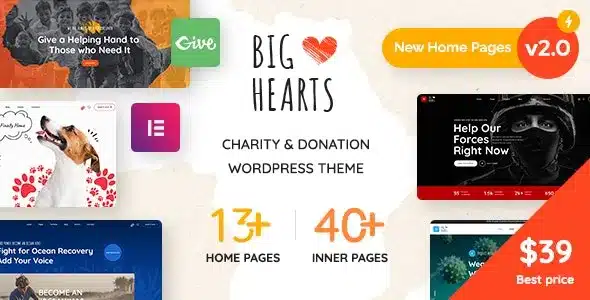 (v3.0.10) BigHearts Charity & Donation WordPress Theme Free Download